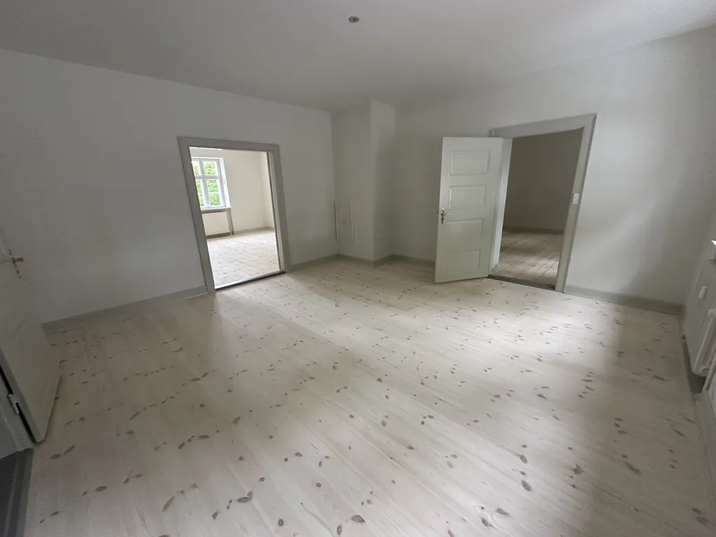 Pièces - Renovated Apartment with Terrace in Assens