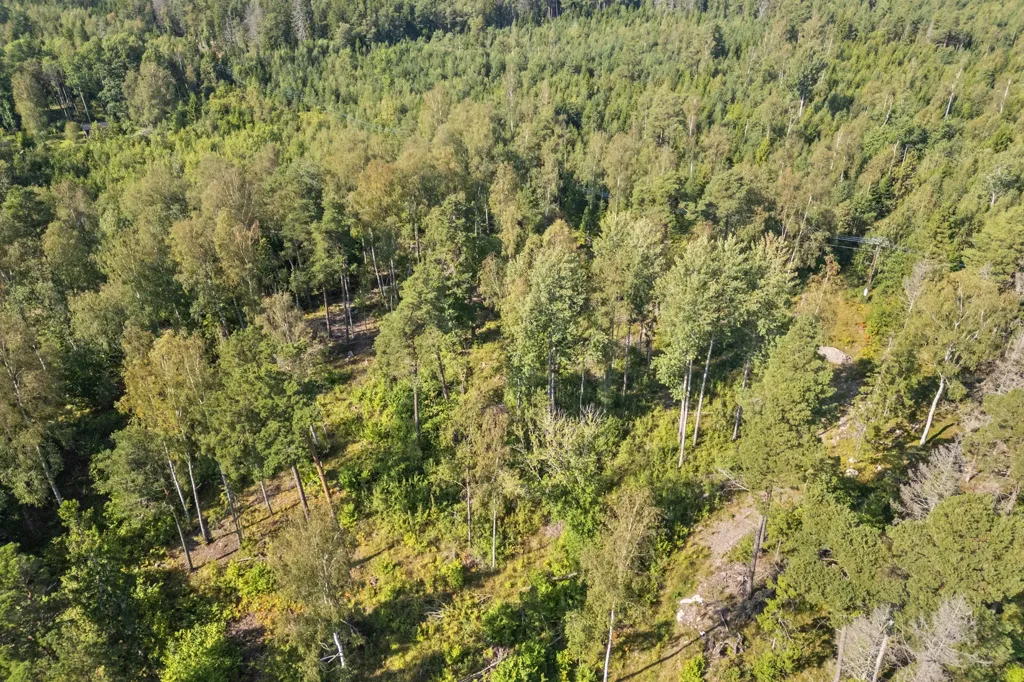 Õhuvaade - Building Plot with Water Access in Vätö