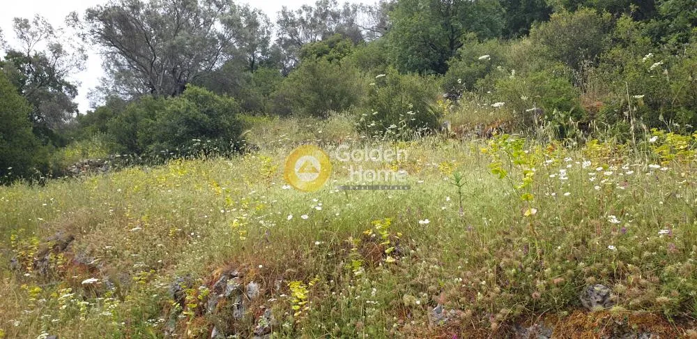 Aed - Agricultural Plot with Mountain View in Lefkada