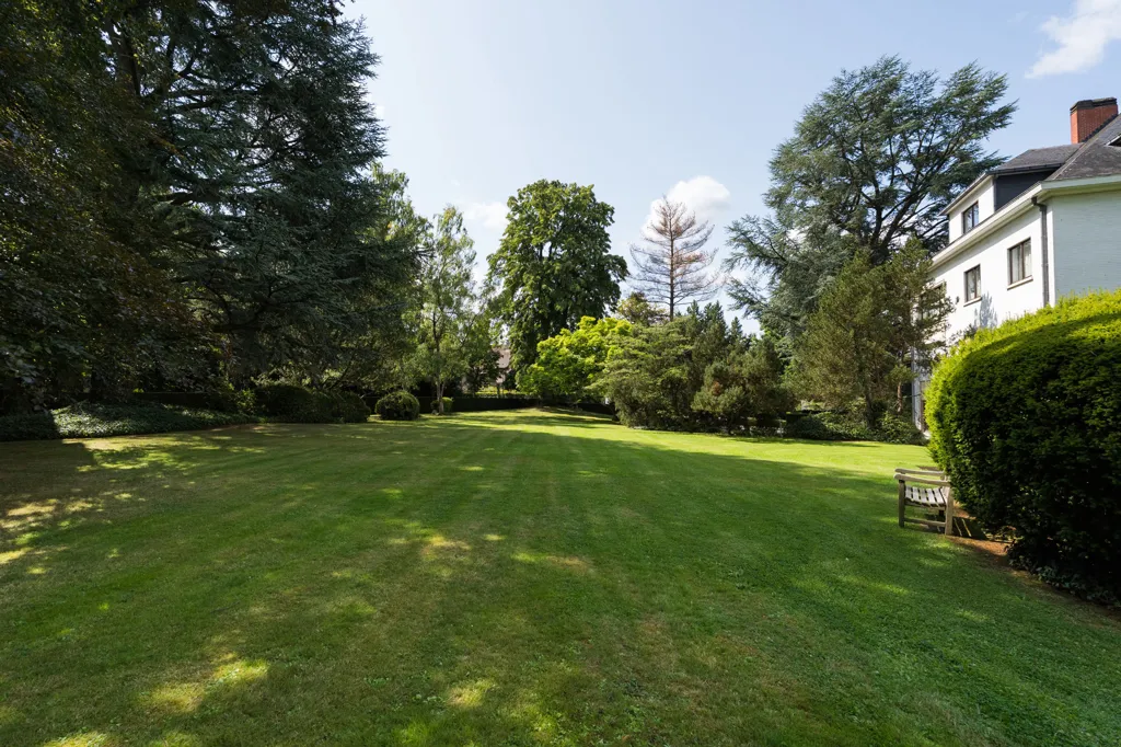 garden