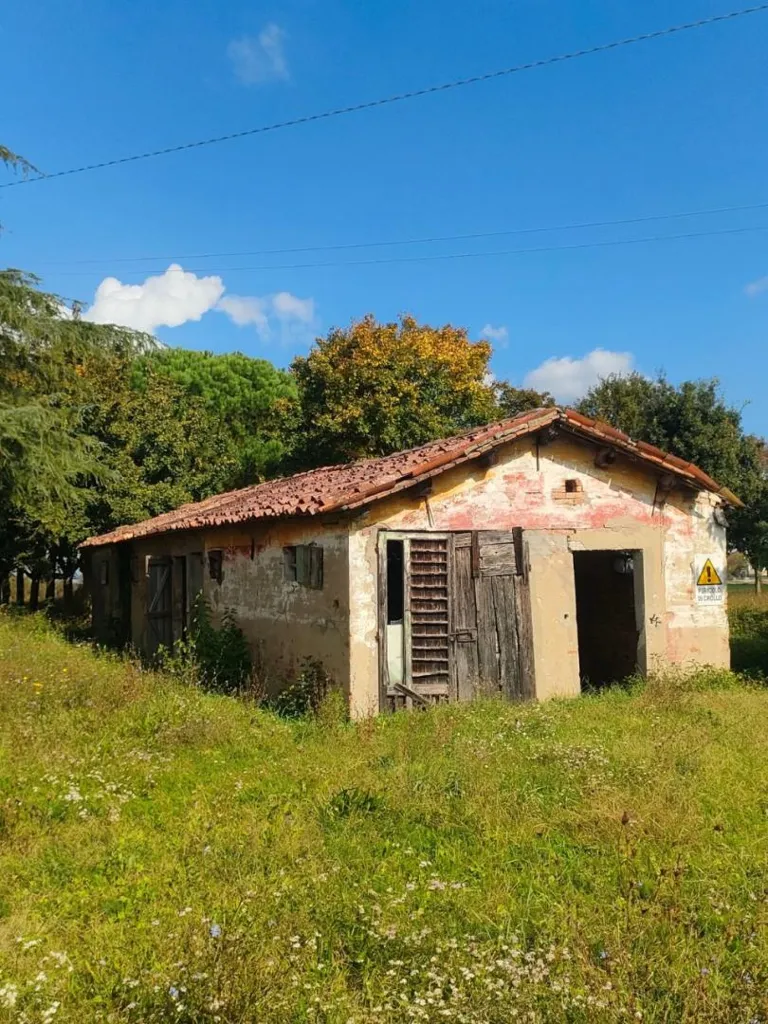 Extérieur - Rustic Villa to Renovate in Cesena