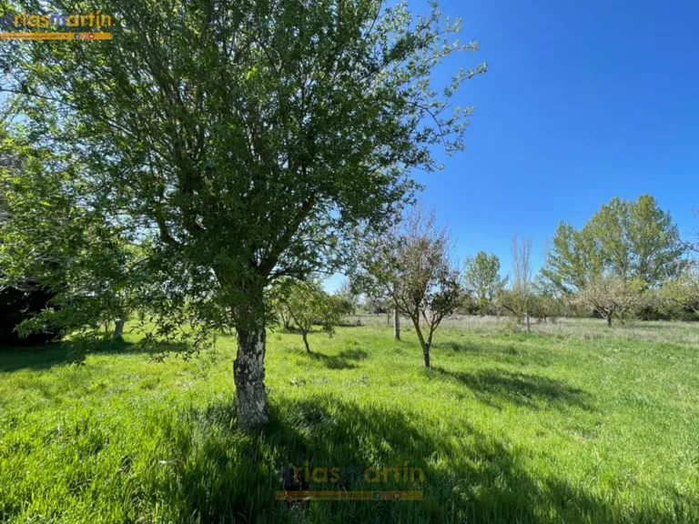 Detached House with Extensive Land in Barbadillo