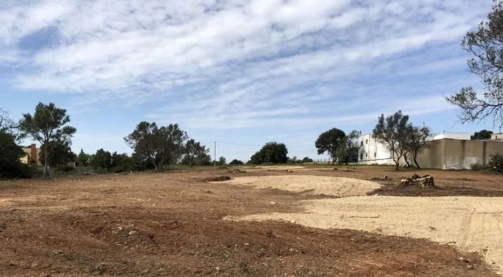 Jardin - Building Land with Pool Project in Almancil