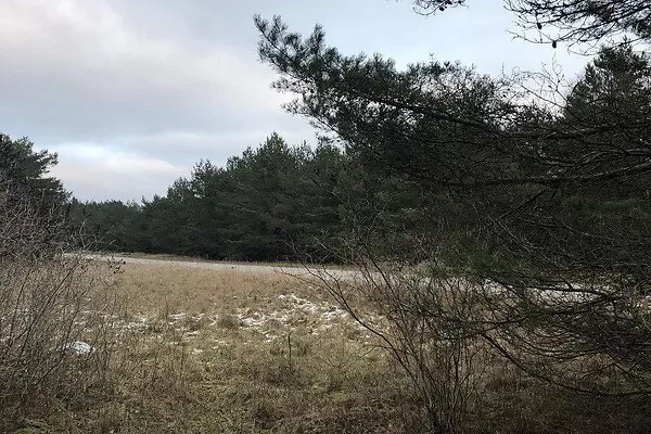 Jardin - Terrain à Saaremaa vald