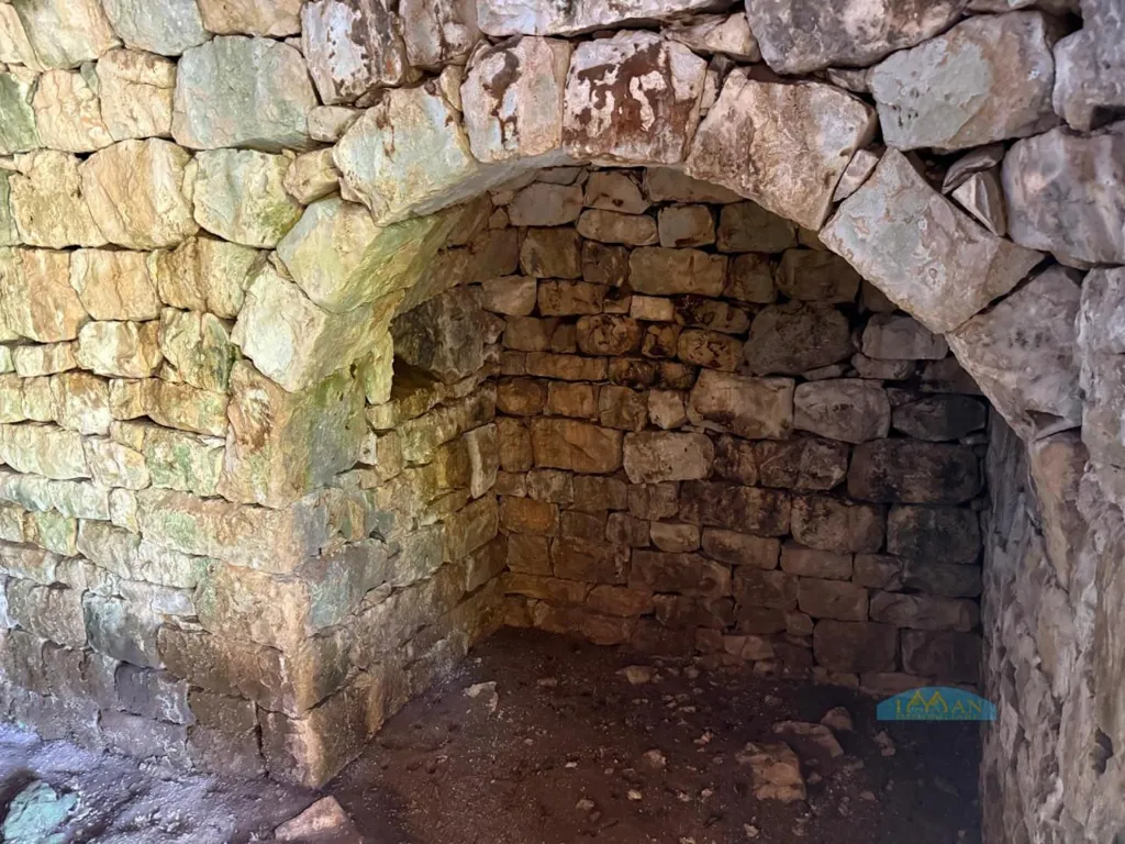 Pièces - Trullo with Olive Grove in Ceglie Messapica