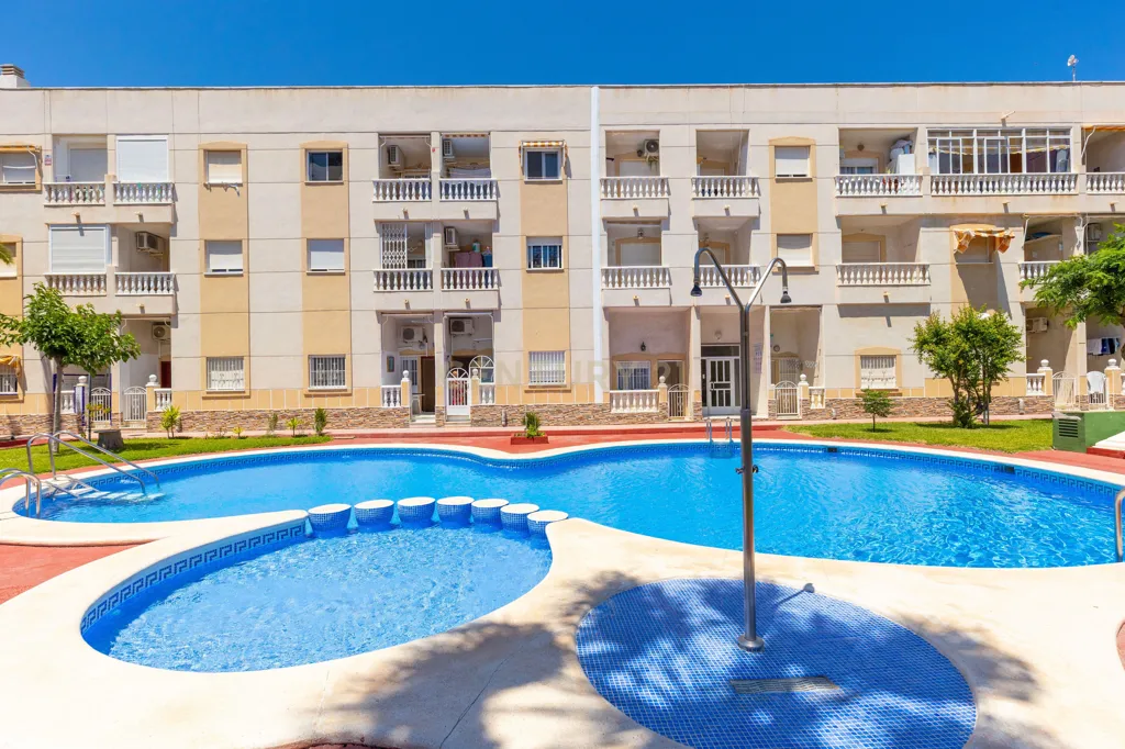 Piscine - Reform Studio with Pool in Torrevieja