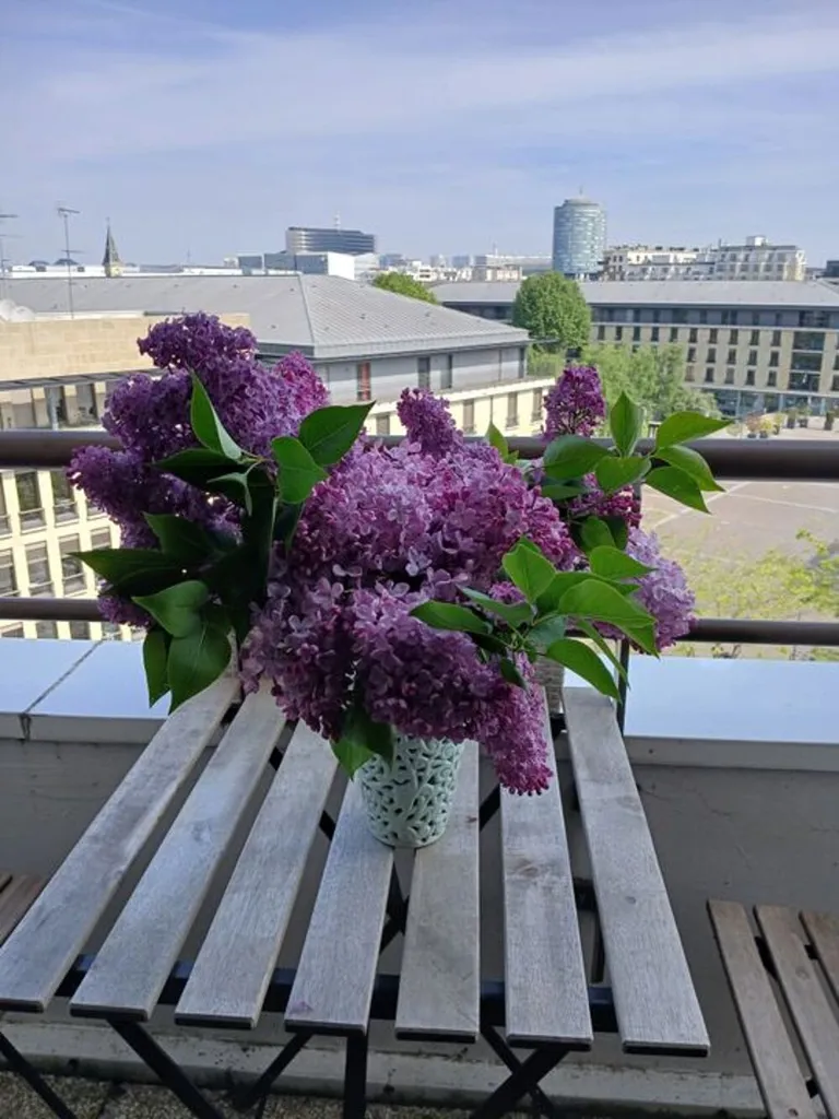 Balcon - Studio Meublé avec Balcon à Issy-les-Moulineaux
