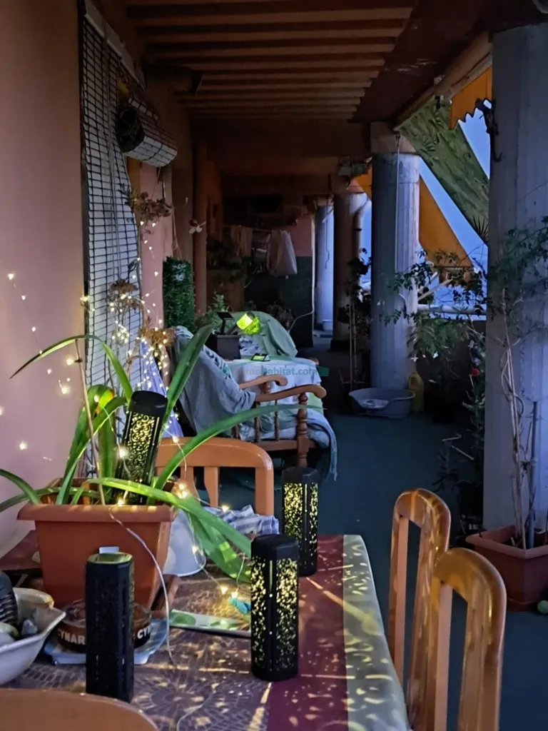 terrace_patio