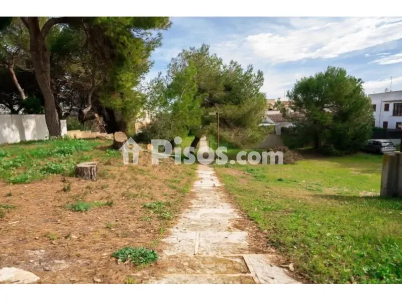 Jardin - Exclusive Beachfront House in Playa de Muro