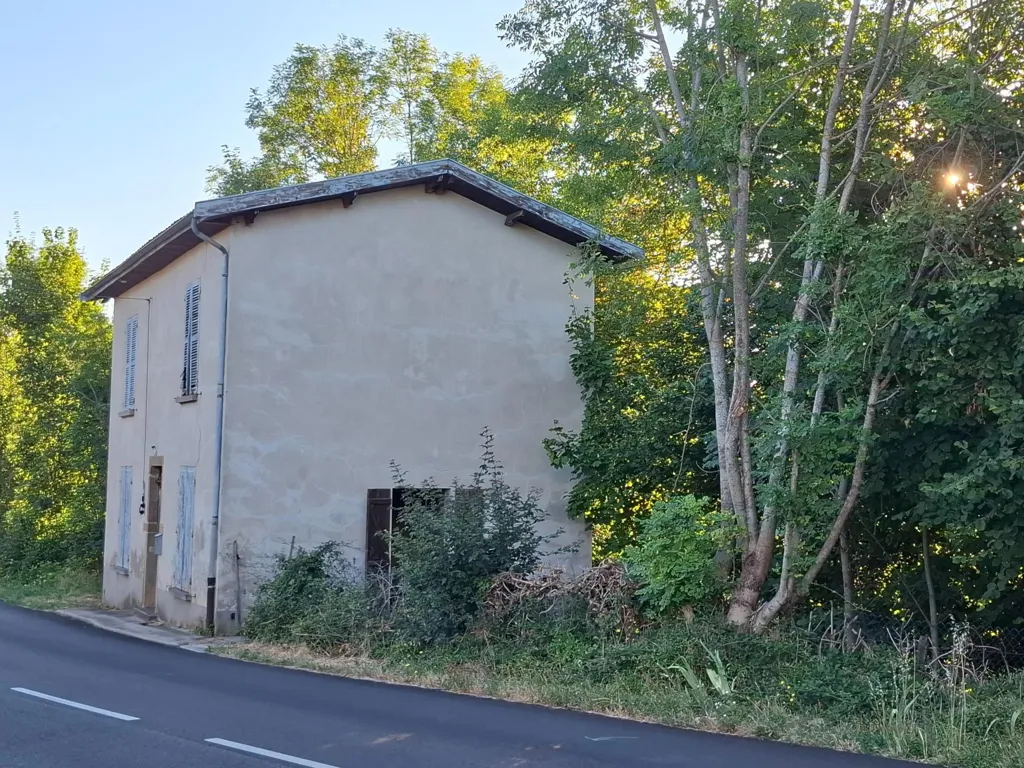 Extérieur - Maison à Rénover avec Jardin à Eyzin-Pinet