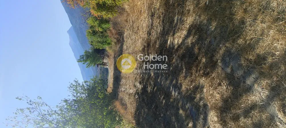 Jardin - Plot with Unrestricted View in Zaros, Gortyna