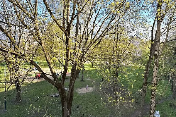 garden