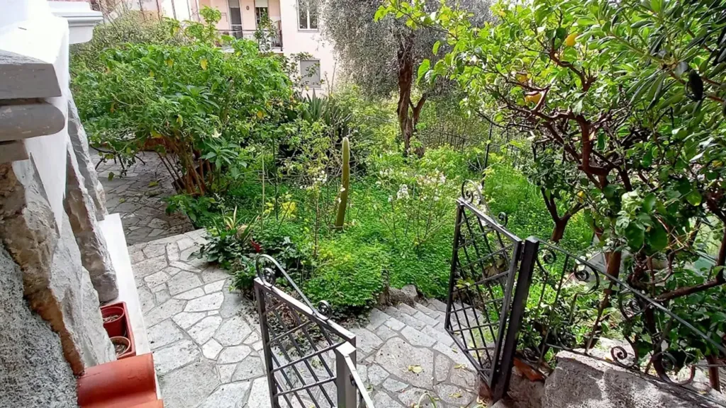 garden