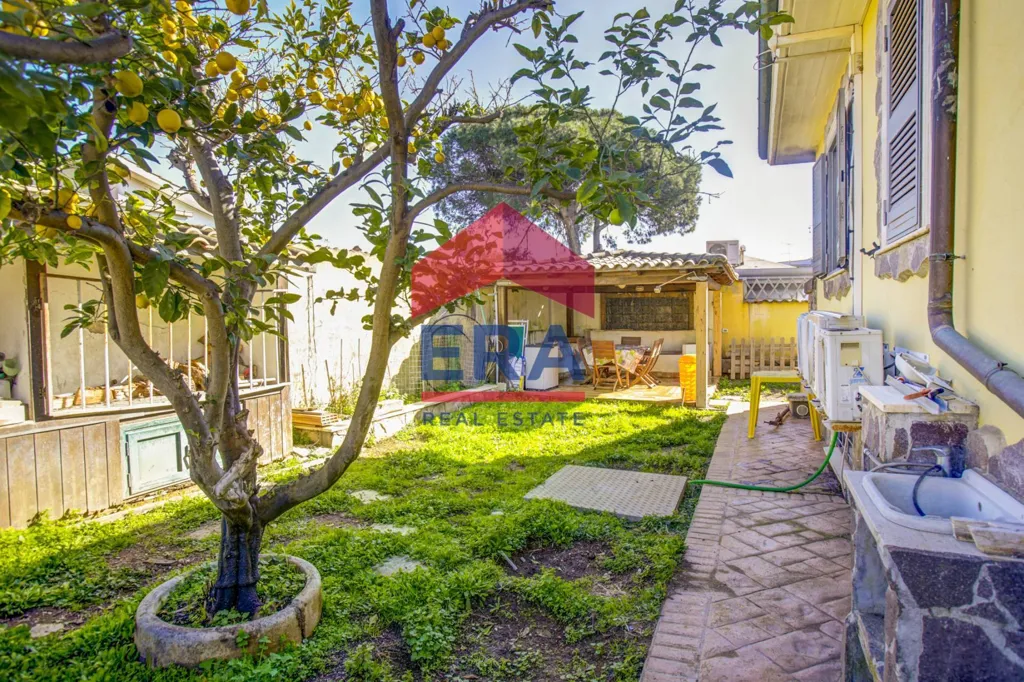 Jardin - Villa with Garden in Nuova Florida, Ardea