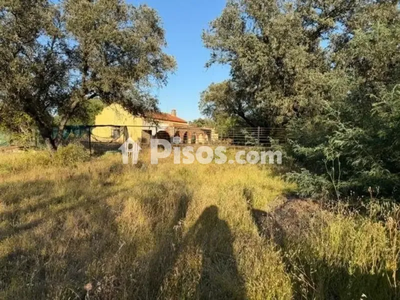 Jardin - Chalet with Land in Pedanías Norte