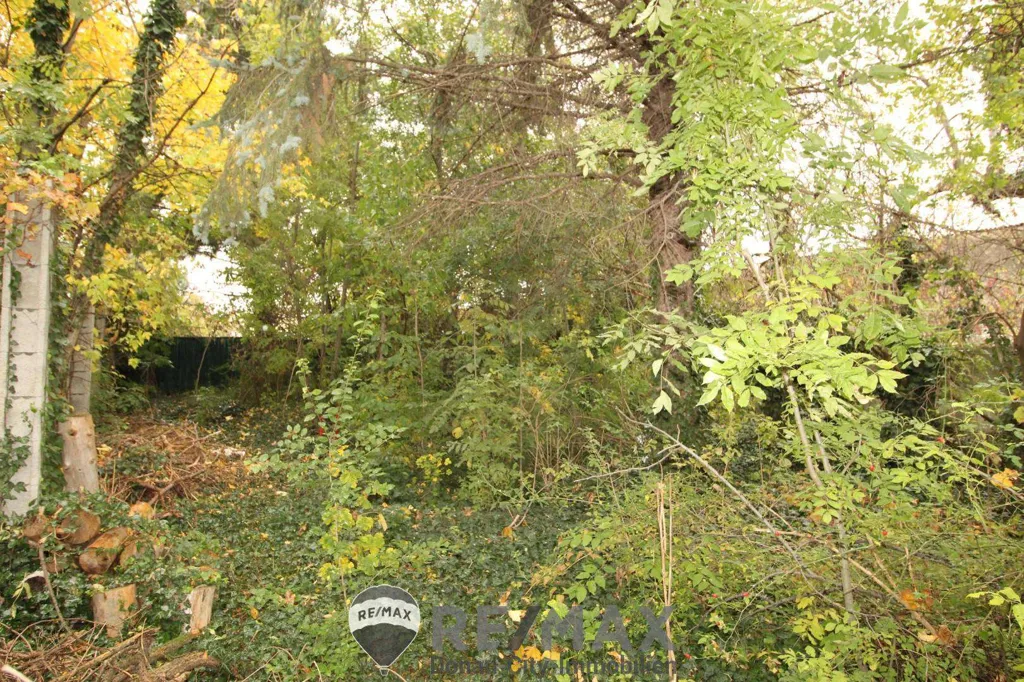 Giardino - Land Plot with Altbaumbestand in Aspern