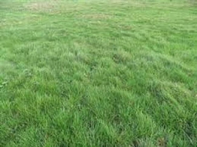Toutes les photos (1) - Terrain avec Jardin à Dannemois