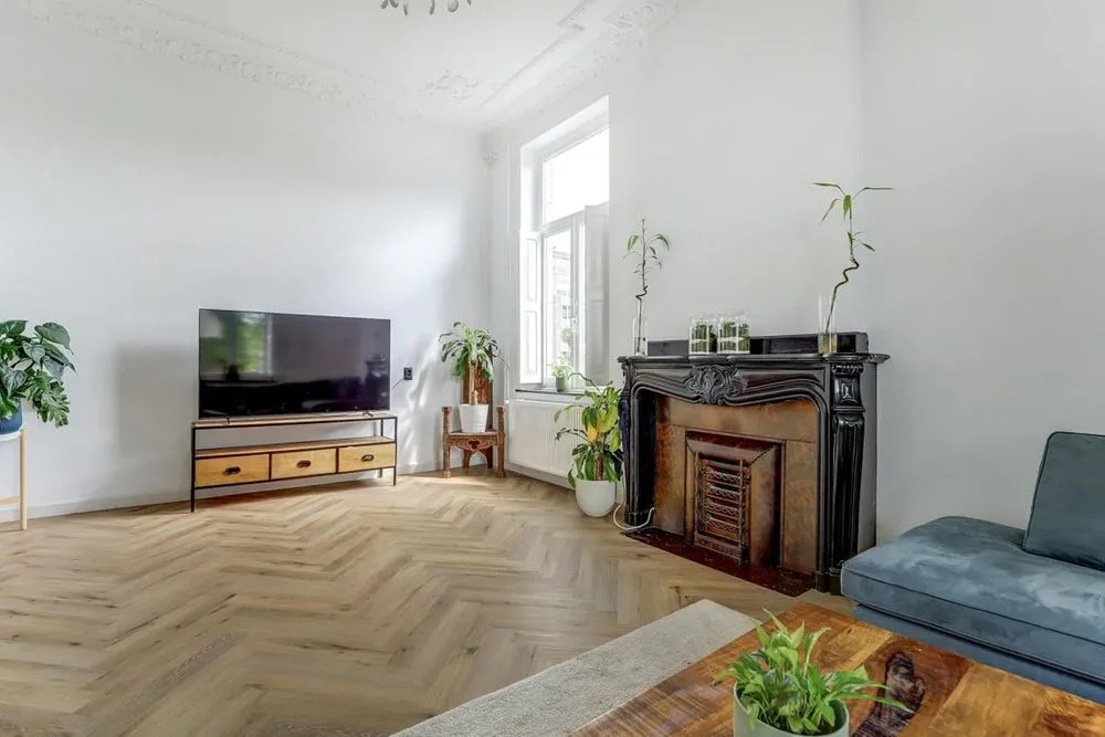 Séjour - Historic Villa with Garden in Landgraaf