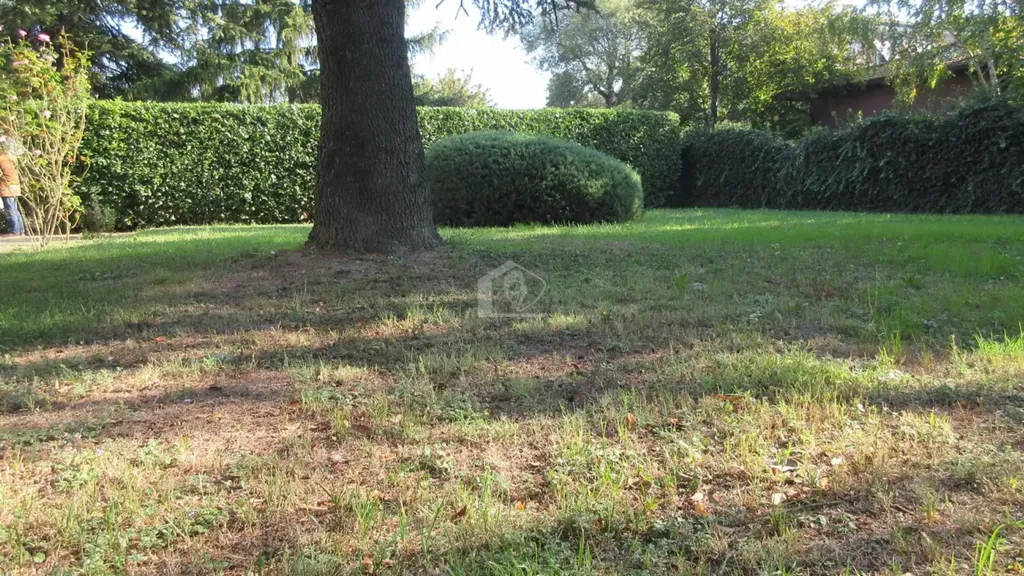 Jardin - Independent Villa with Garden in Suzzara