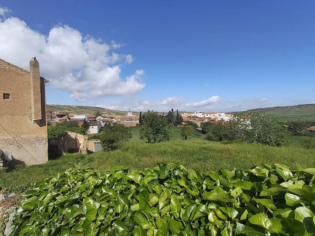 Aed - Pair-Linked House with Garden in Gor