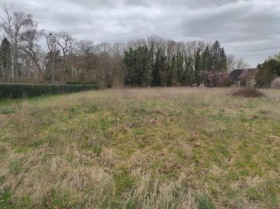 Aed - Buildable Plot with Garden in Bezu-La-Foret