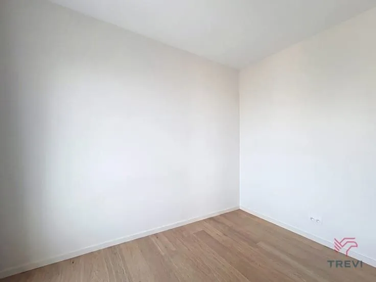 Toad - Apartment in Central Brussels