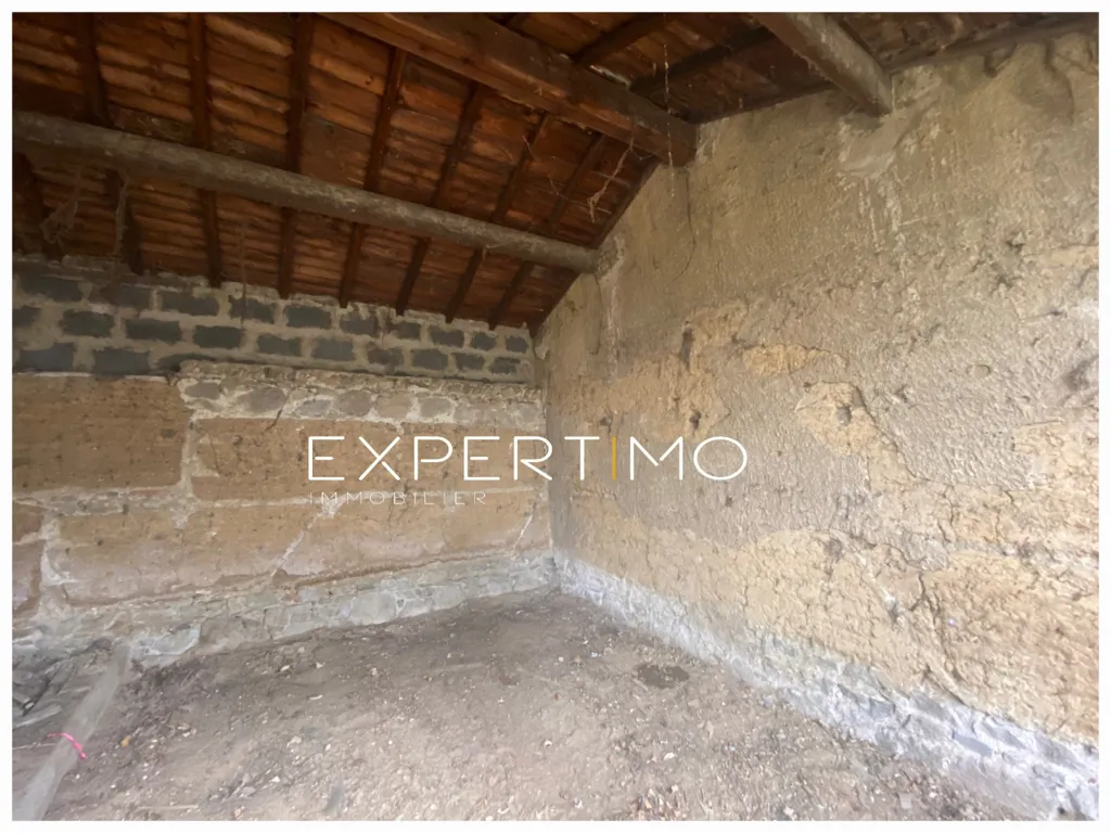 Toad - Old House with Potential Duplexes in Saint-Genis-Laval