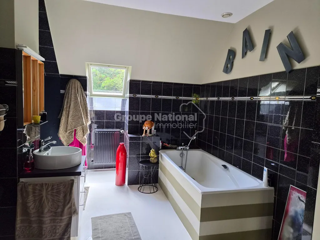 Salles de bain - Demeure avec Piscine à 20 km de Tours