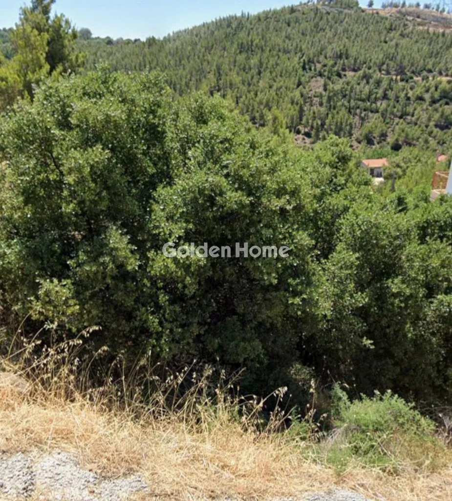 Garden - Plot for Construction with Mountain View in Penteli