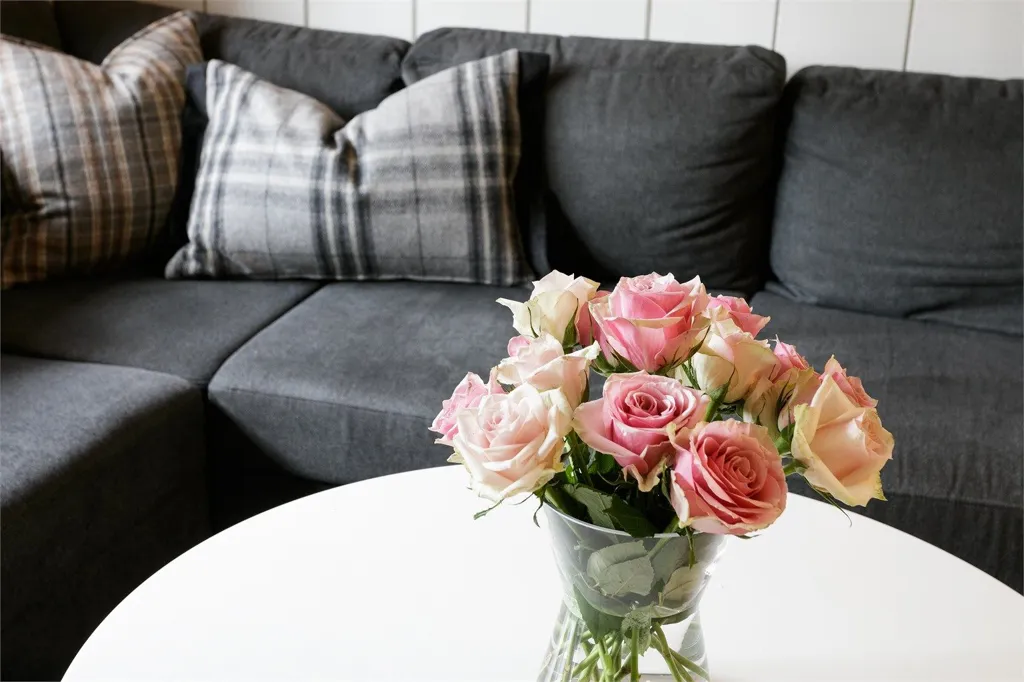 living_room