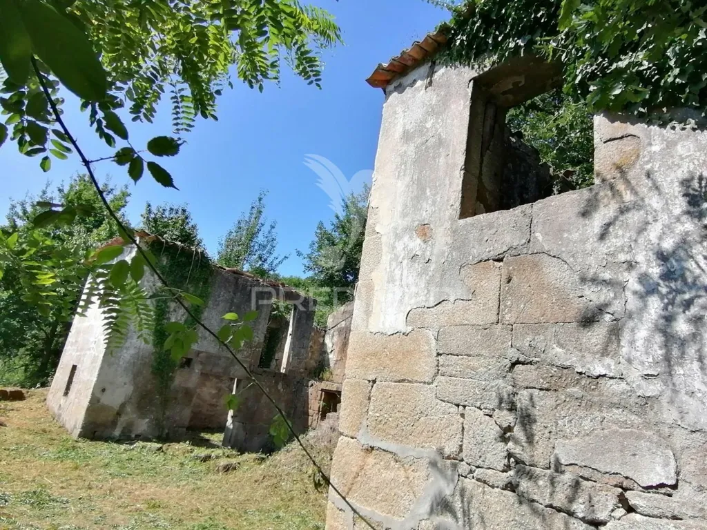 Extérieur - Rural Quinta with Olive Trees in Pala