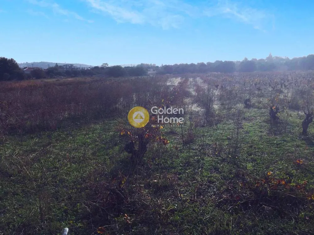 Aed - Plot with Sea View in Spata-Kontra