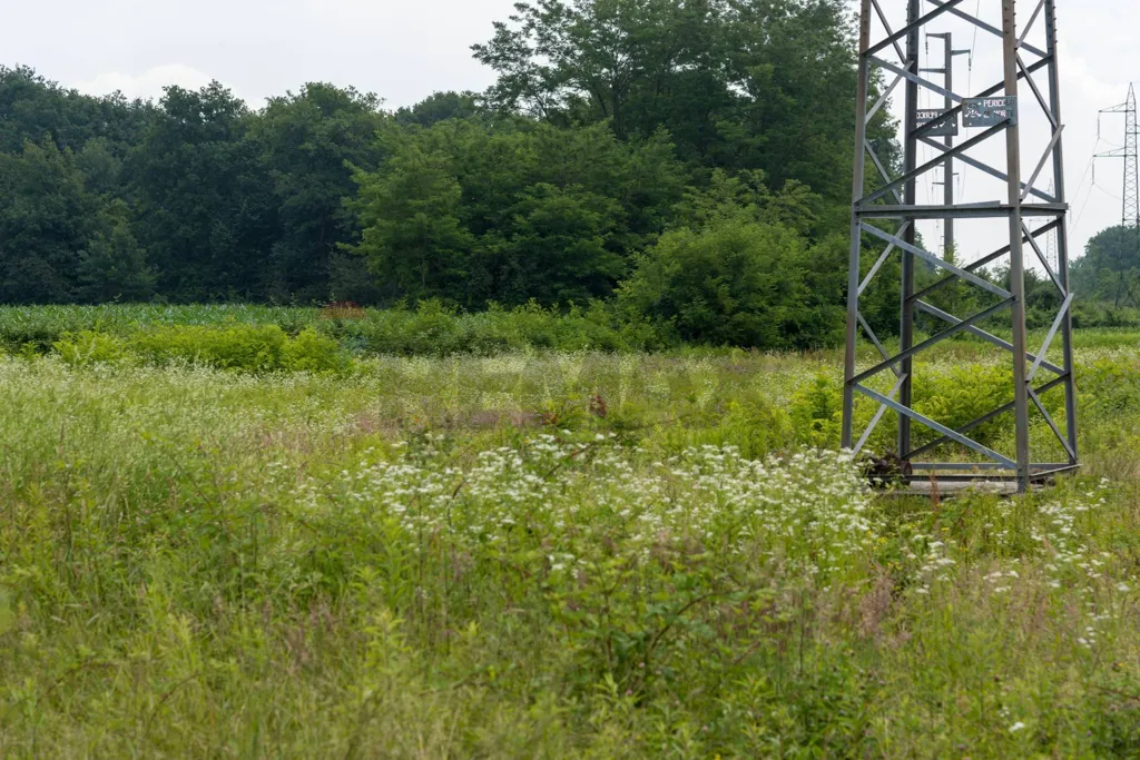 Aed - Agricultural Land with Forest in Calusco d'Adda