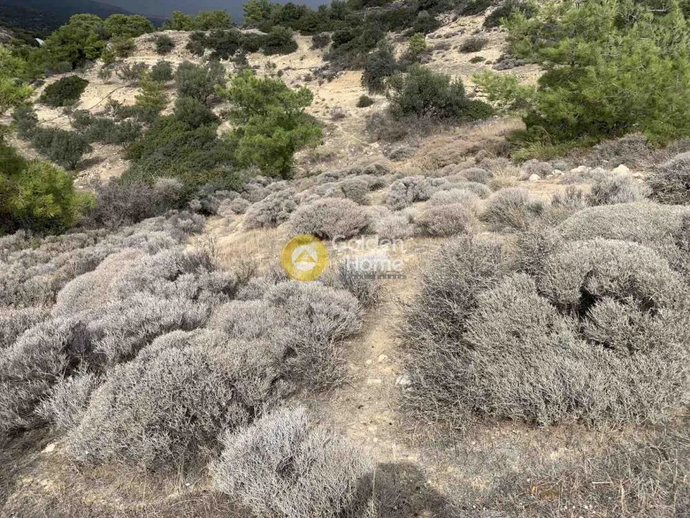 Aed - Agricultural Plot with Sea View in Arvi