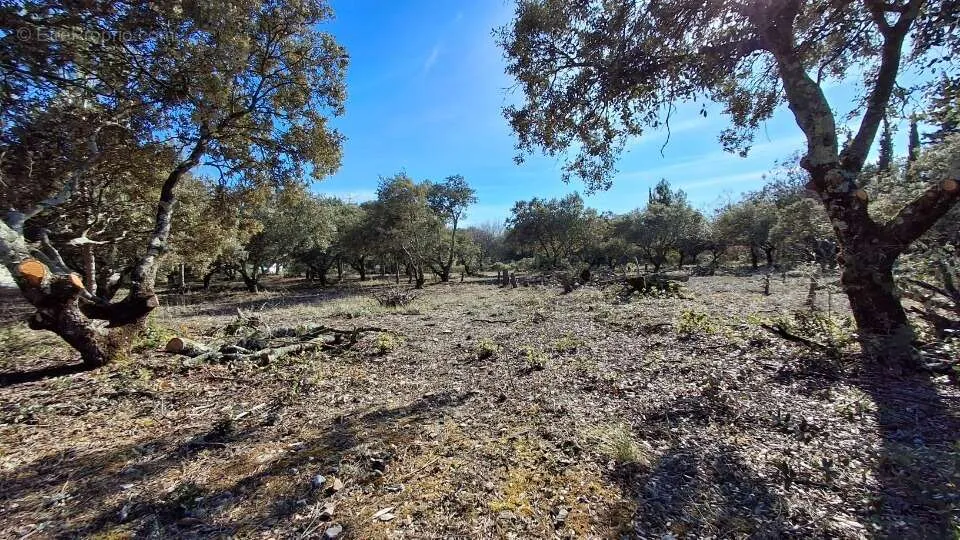 Aed - 1300 m² Plot with South Exposure in Cucuron