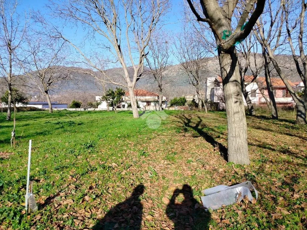 Jardin - Residential Plot in Arienzo, Caserta