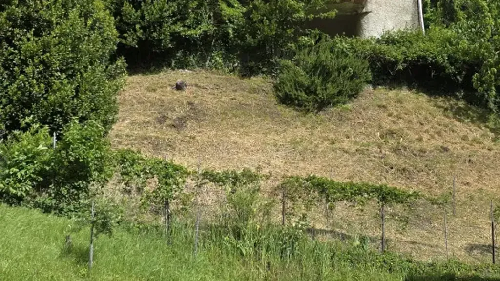 Aed - Terraced House with Fireplace in Bocconi