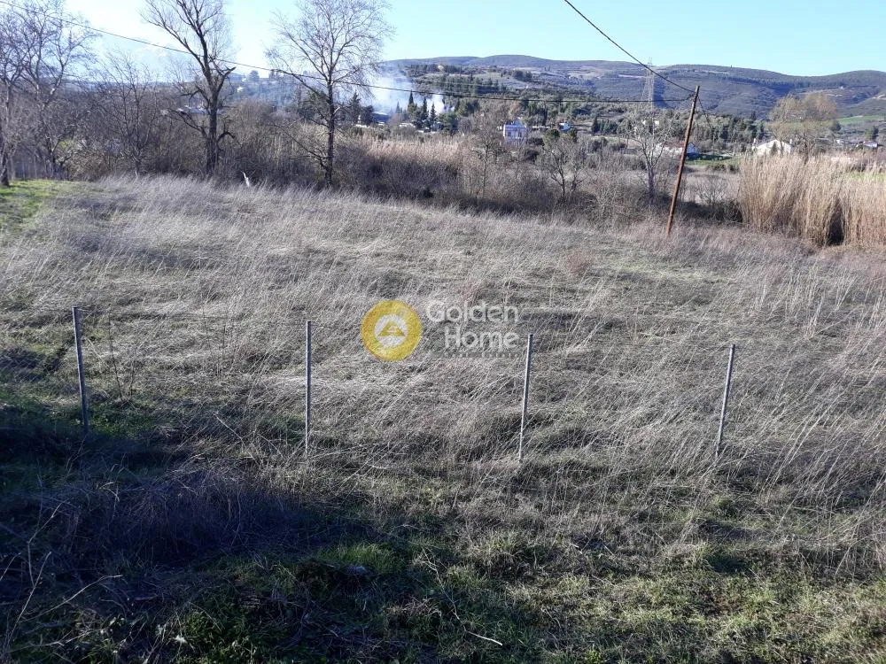 Aed - Buildable Plot with Mountain View in Livadeia Centre