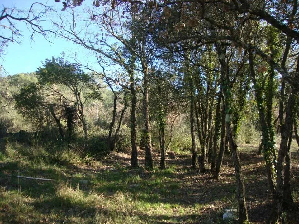 Jardin - Terrain Viabilisé avec Permis de Construire à Pierrefeu-Du-Var