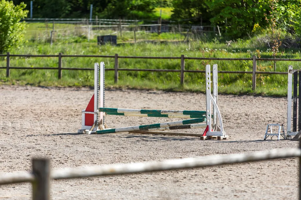 Giardino - Ride Centre with Stables near True Skov