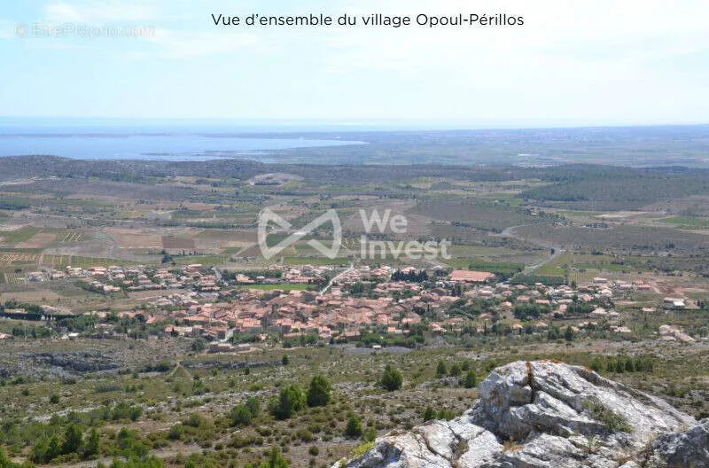 Terrain à Opoul-Perillos