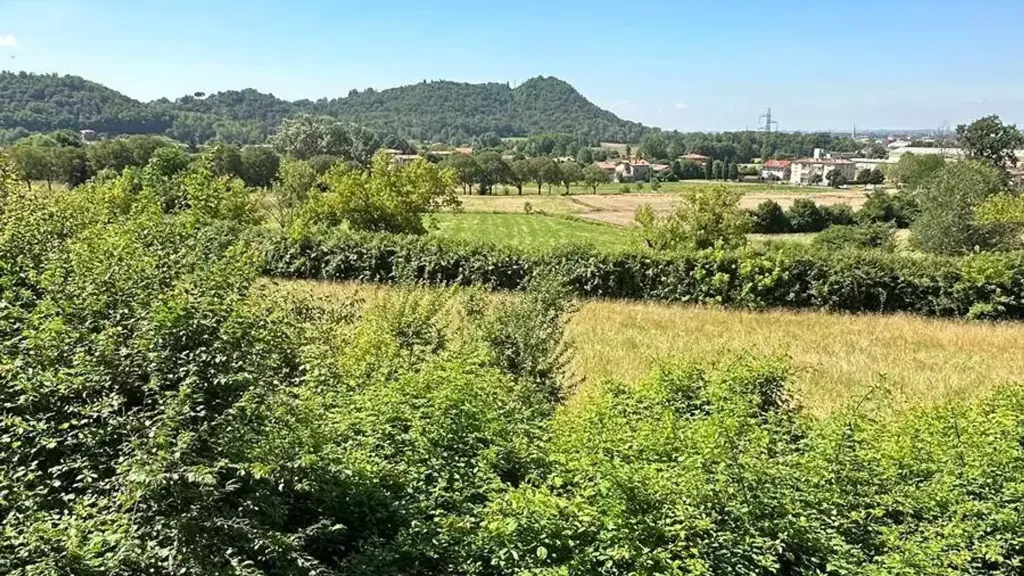 land_plot