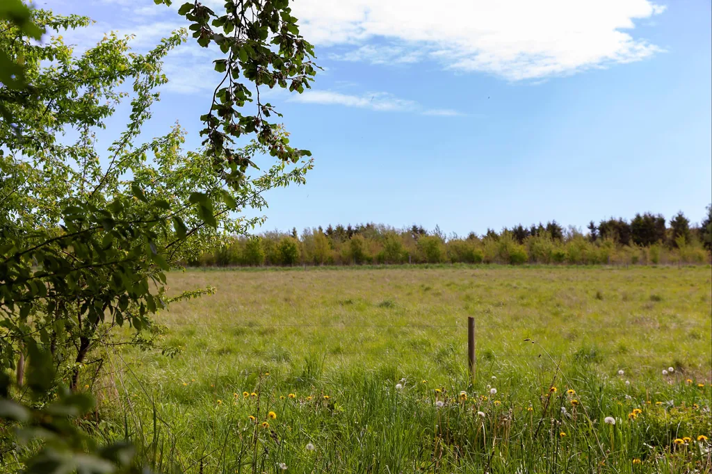 Aed - 1½ Storey Villa in Quiet Ørslev