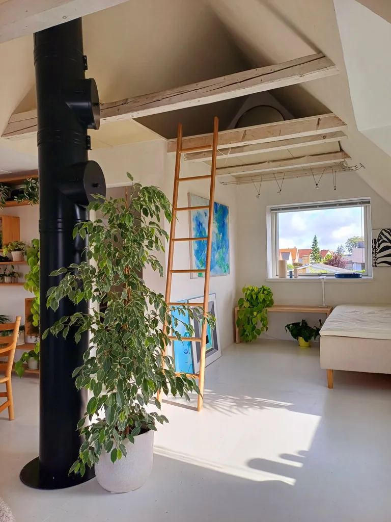 living_room