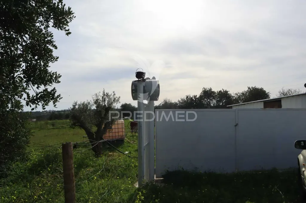 Jardin - Agricultural Land with Fruit Trees in Albufeira