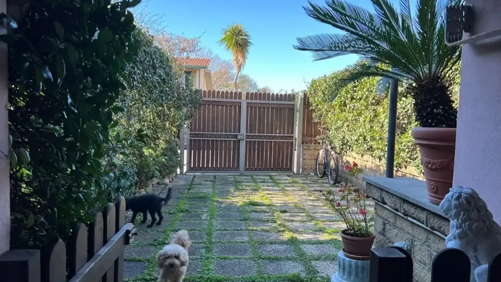Garden - Detached Villa with Garden in Cerveteri