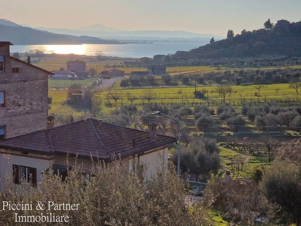 Jardin - Villa with Lake View in Magione