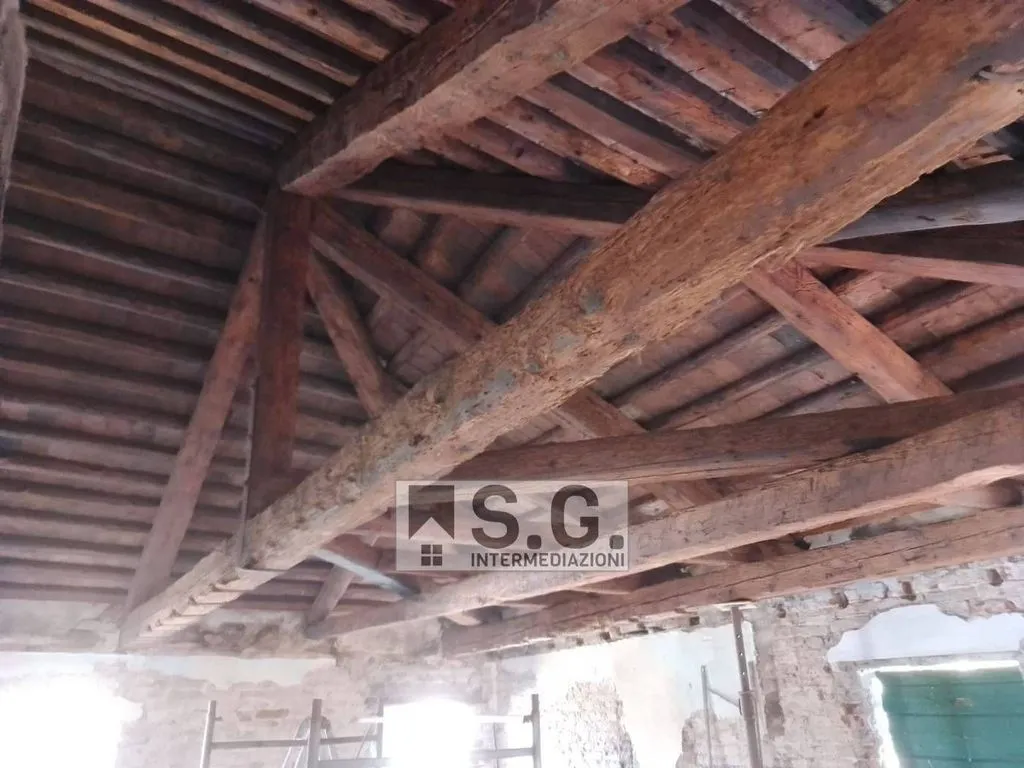 Toad - Luxury Villa with Private Garden in Mirano