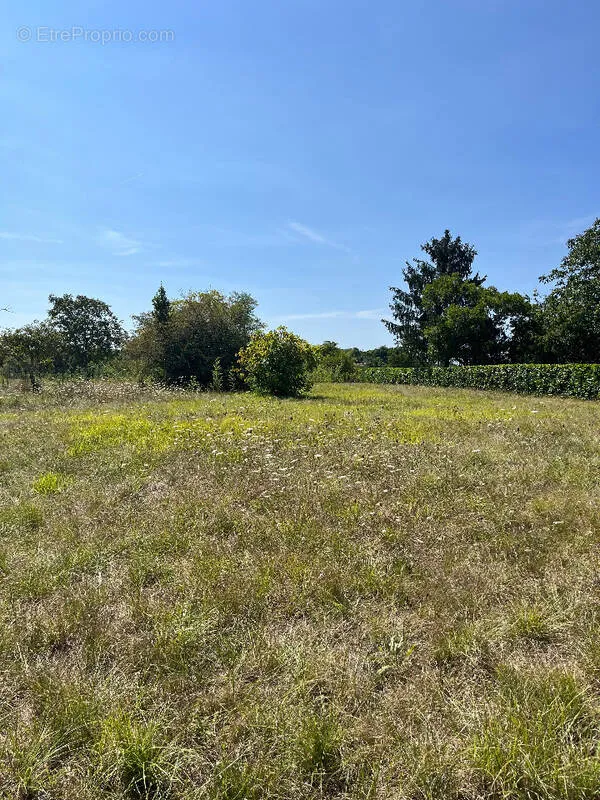 Jardin - Terrain à Bâtir en Première Ligne à Saint-Yzan-De-Soudiac