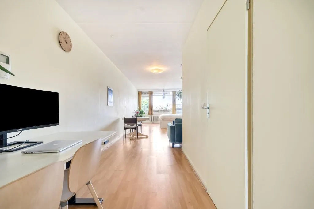 Studio Flat with Terrace in Delft